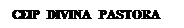 Cuadro de texto: CEIP DIVINA PASTORA